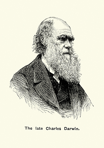 Vintage engraving of Charles Darwin, an English naturalist and geologist, best known for his contributions to evolutionary theory.