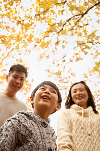 istock Family walking through the park in autumn, low angle view 471952435