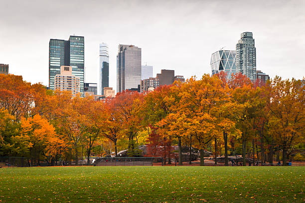 istock Central Park facing south, from the softball fields 471952545