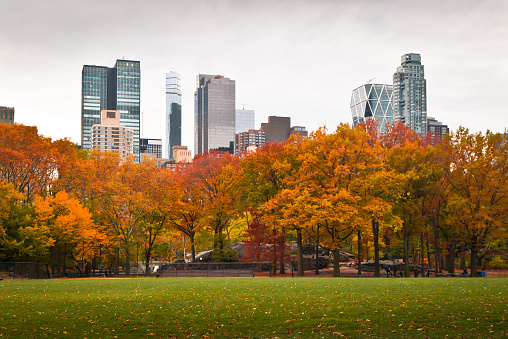 Central Park and its autumn foliage, facing south, from the softball fields