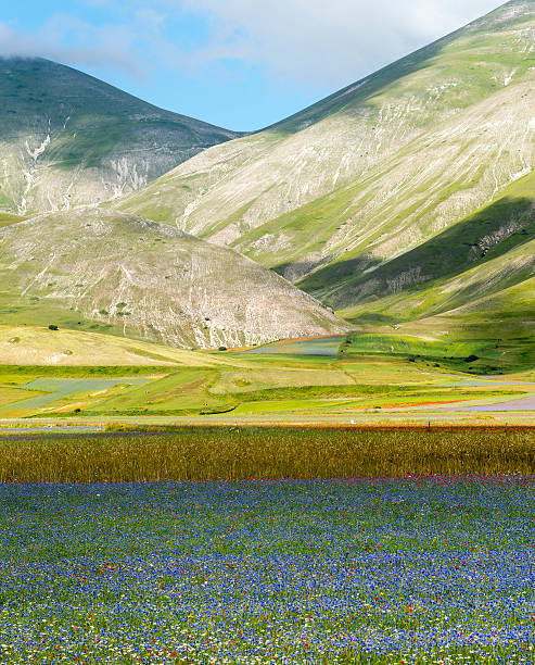 istock Piano Grande di Castelluccio (Italy) 471952550