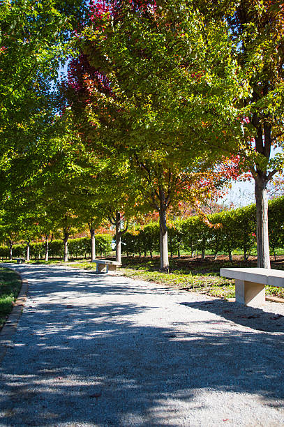 Autumn foliage in neighborhood park stock photo
