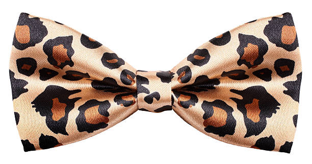 Bow Tie Animal Print With Leopard Pattern Stock Photo - Download Image Now  - Bow Tie, White Background, Leopard Print - iStock