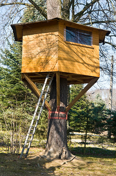 istock Tree house in the garden 471953252