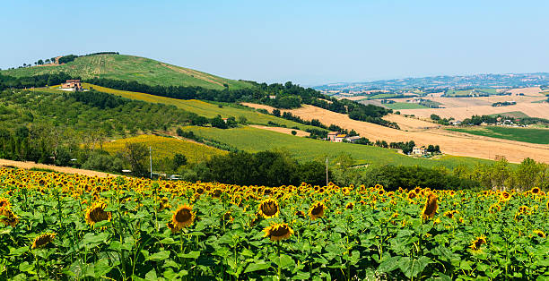 istock Summer landscape in Marches (Italy) 471953310