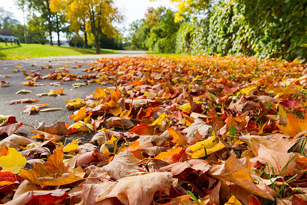 istock Autumn at Niagara Fall , Buffalo , USA 471955115