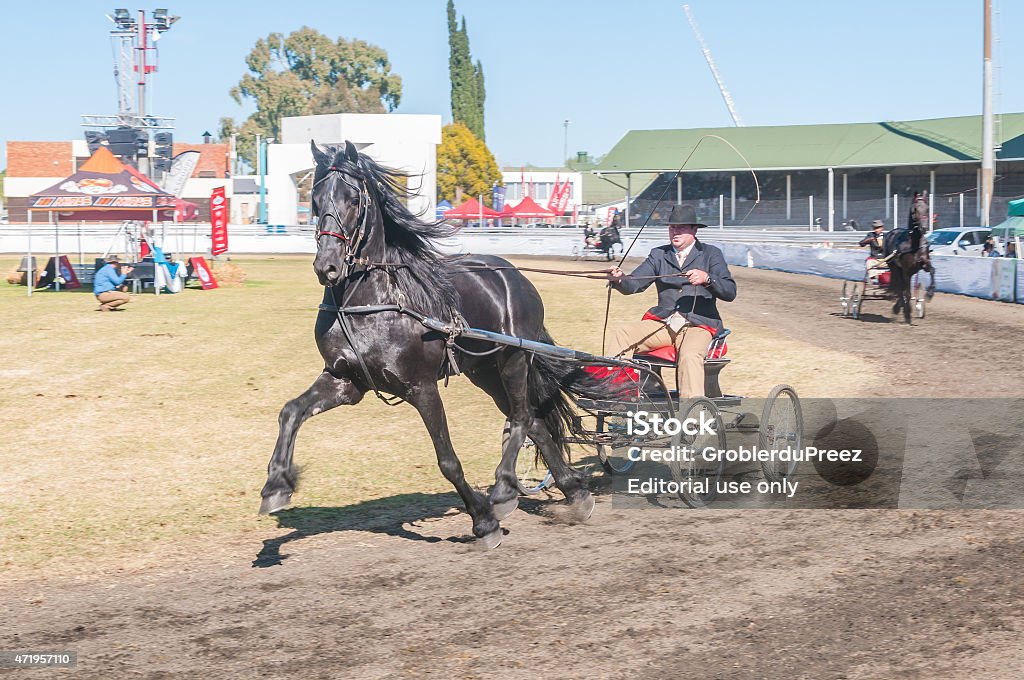 Driver on a horse-drawn cart Bloemfontein, South Africa - April 28, 2015: Driver on a horse-drawn cart during the South African National Championships 2015 Stock Photo
