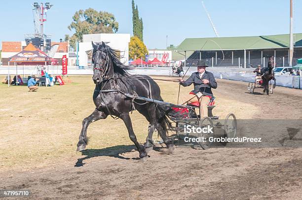 Driver On A Horsedrawn Cart Stock Photo - Download Image Now - 2015, Activity, Adult