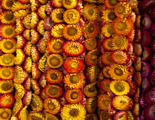 istock Dry flower wreath. 471957479