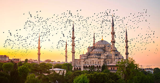 istock Blue Mosque and Hagia Sophia 471957872
