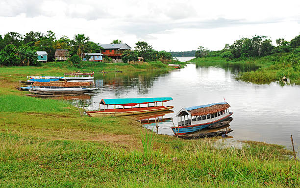 Three river boats This picture of the amazonian landscape was was taken during a boat tryp trough this pristine river. There is an inner sense of peace and calmness very characteristic of this tropical rainforest. iquitos photos stock pictures, royalty-free photos & images