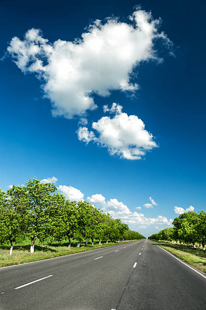 여름 로드쇼의 풍경 - clear sky contrasts cloud high contrast 뉴스 사진 이미지