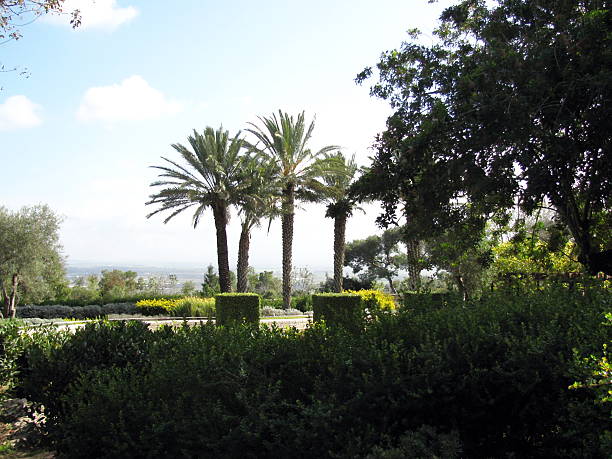 Edmond de Rothschild Park.  Ramat HaNadiv. Israel