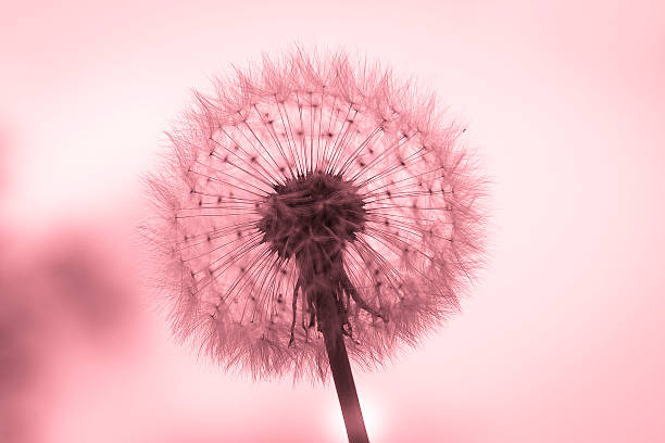 istock Beauty of nature 471962866