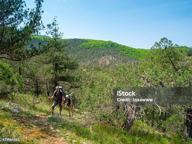 Hikers Stock Photo - Download Image Now - Activity, Adult, Adventure