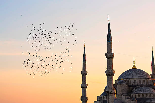 istock Blue Mosque and Hagia Sophia 471967622