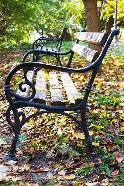 istock Bench in the autumn park 471968503