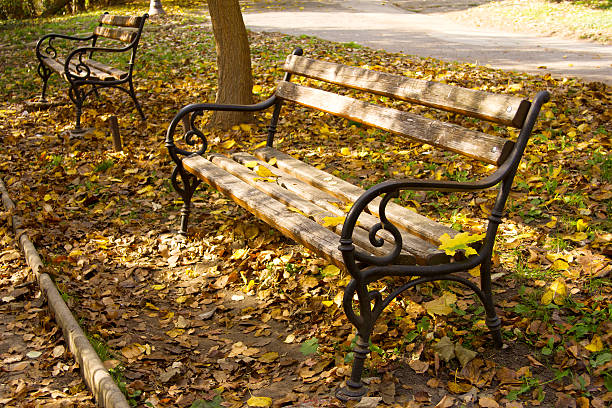 istock Bench in the autumn park 471968849