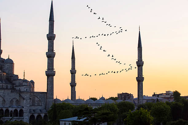 istock Blue Mosque and Hagia Sophia 471969070