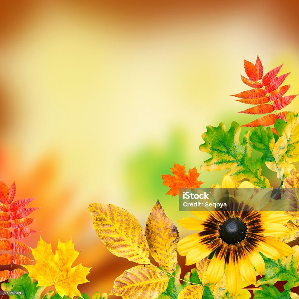 Autumn leaves Autumn leaves on a yellow background Abstract Stock Photo
