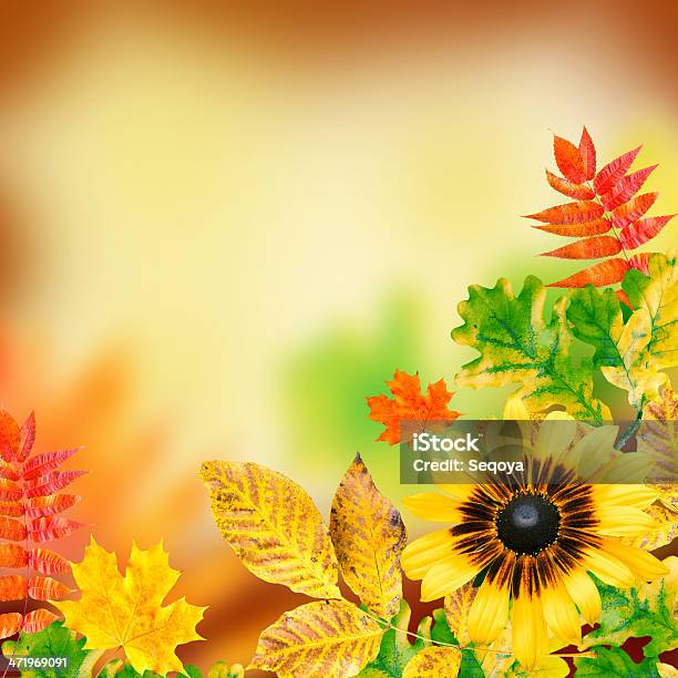 Autumn Leaves Stock Photo - Download Image Now - Abstract, Autumn, Backgrounds