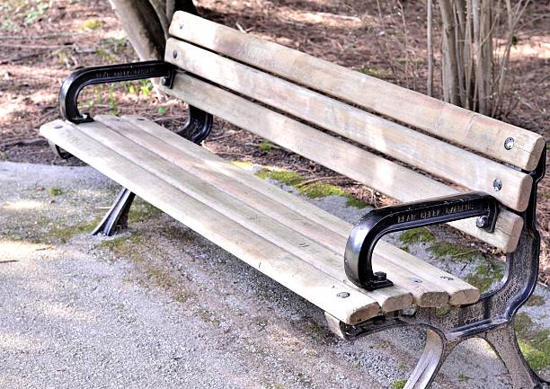 istock Bench portrait in the park 471969395