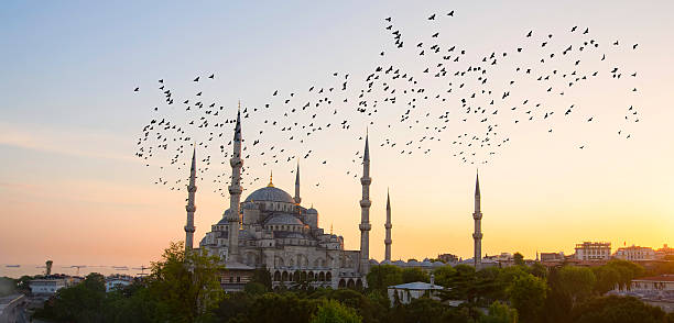 istock Blue Mosque and Hagia Sophia 471969492