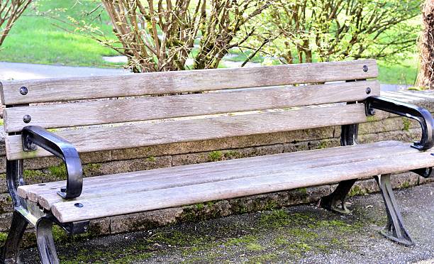 istock Bench portrait in the park 471969877