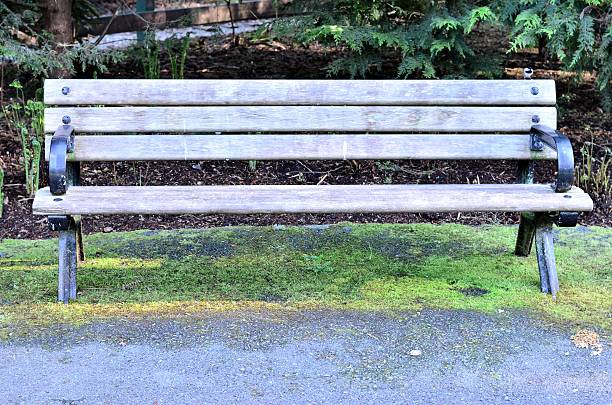 istock Bench portrait in the park 471970035