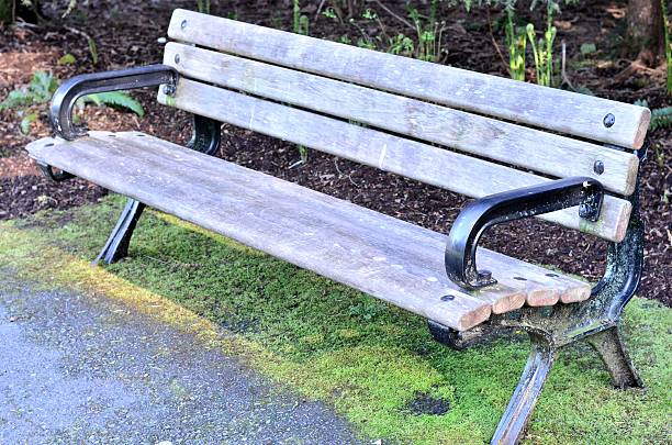 istock Bench portrait in the park 471970043