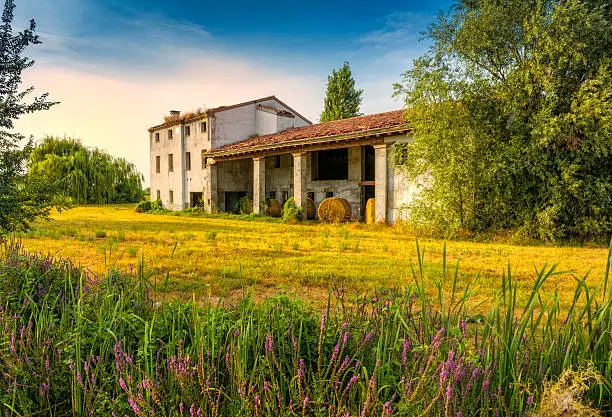 Photo of Italian farmhouse and flowers