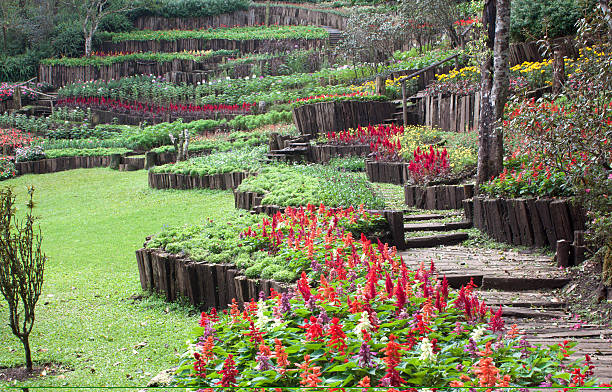 istock Public Gardens and Bushes flowers. 471972515