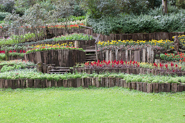 istock Public Gardens and Bushes flowers. 471972649