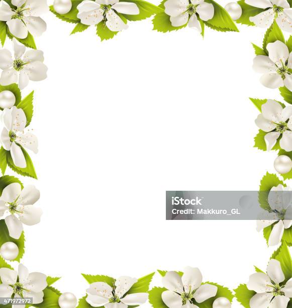 Cherry Flowers With Pearl Beads Like Frame On White Stock Illustration - Download Image Now