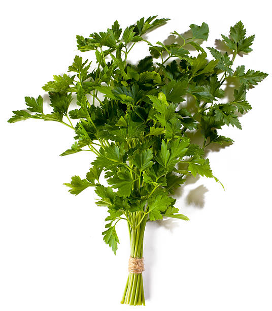 istock Bunch of fresh green curly parsley 471973181
