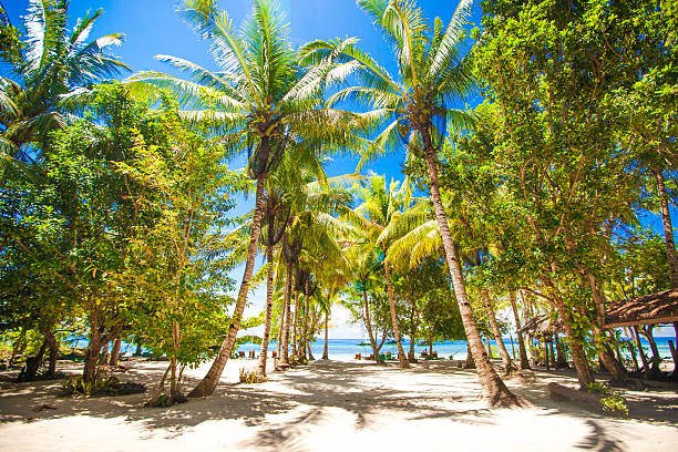 istock Tropical sunny beach in beautiful exotic resort 471973435