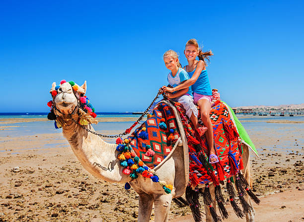 istock Tourists riding camel  on the beach of  Egypt 471973448