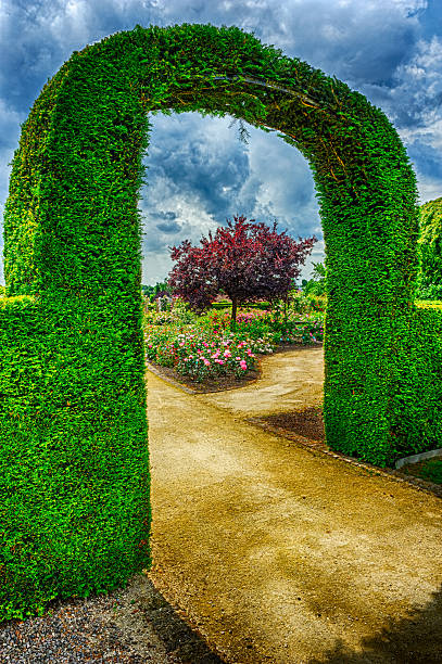 istock Bush arch in beautiful summer garden 471974043