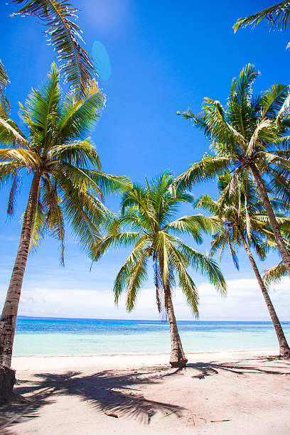 istock Tropical beach with beautiful palms and white sand, Philippines 471974375