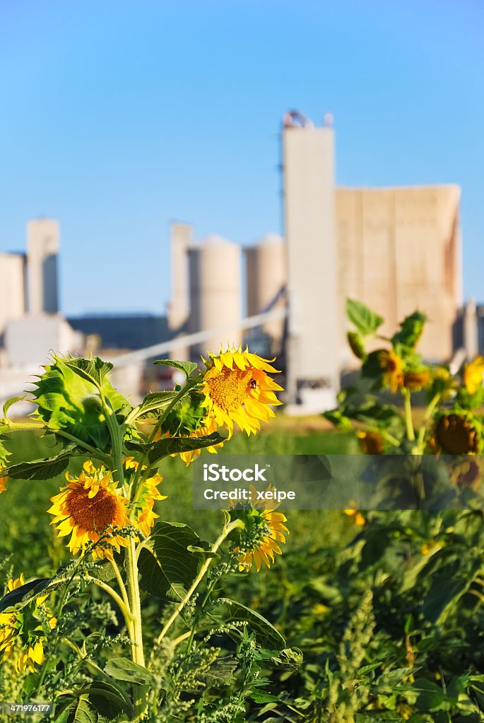 Fabrik in grüne Landschaft - Lizenzfrei Außenaufnahme von Gebäuden Stock-Foto