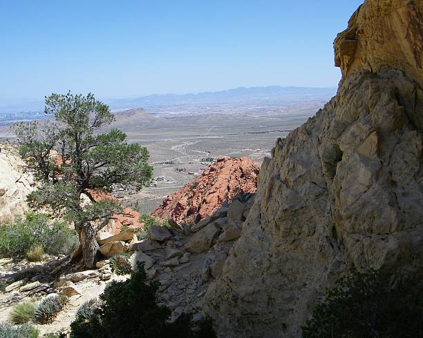 Nevada Landscape Desert landscape with rock formation and pinon tree in foreground, at Red Rock Canyon, near Las Vegas, Nevada. jtmcdaniel stock pictures, royalty-free photos & images