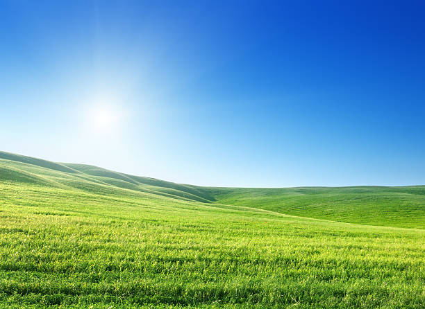 istock field of spring grass and sunny day 471978235