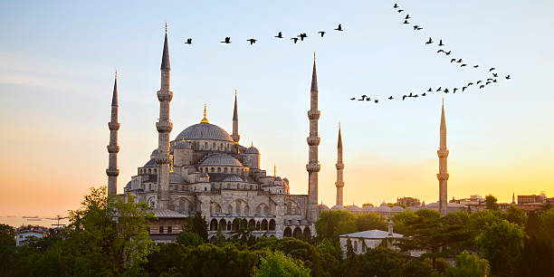 istock Blue Mosque and Hagia Sophia 471978714