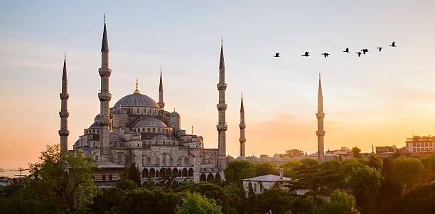 istock Blue Mosque and Hagia Sophia 471978742