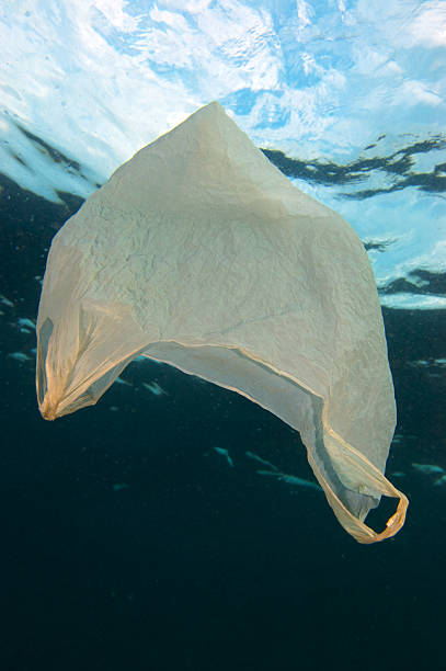 plastiktüte abfälle das rote meer - garbage dump vertical outdoors nobody stock-fotos und bilder