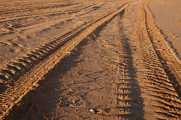 타이어 트랙 - sand footprint track following 뉴스 사진 이미지