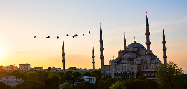istock Blue Mosque and Hagia Sophia 471979966
