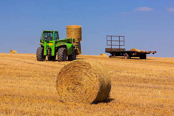 istock Farmer piles up hay bales with tractor 471981859