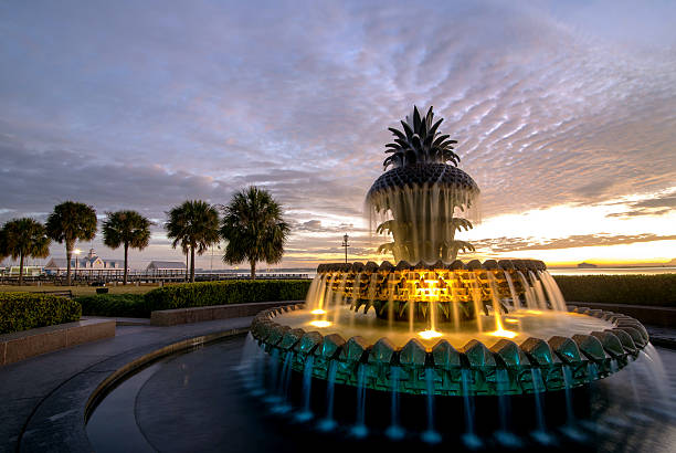 istock Pineapple Fountain of Charleston 471982191