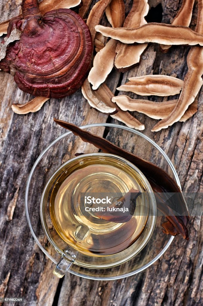 Ganoderma lucidum Ganoderma lucidum  and tea cup Antioxidant Stock Photo